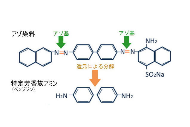 Regulation of Specific Aromatic Amines