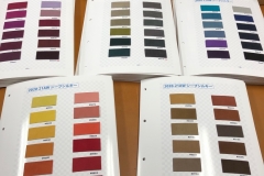 COLOUR BOOK OF SHEEP SILKY