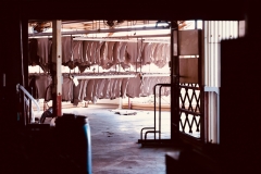 干し場２