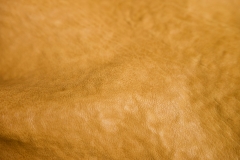 L1010861
