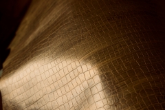 L1010869